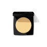 SHEER FINISH PRESSED POWDER
