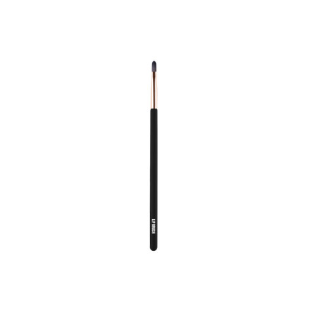 LIP BRUSH