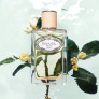 LES INFUSIONS - FLEUR D'ORANGER EAU DE PARFUM 100 ML