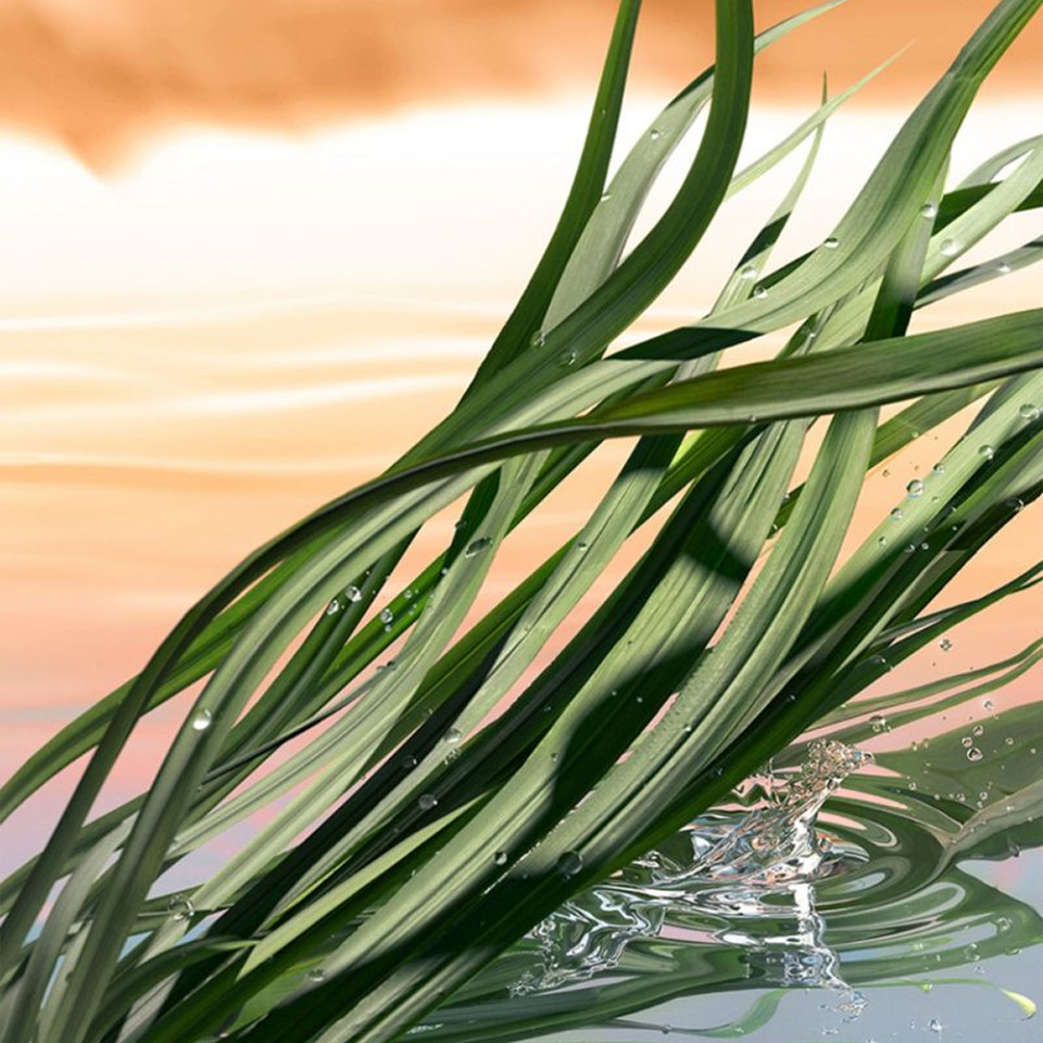 BLUSHING SANDS EAU DE PARFUM