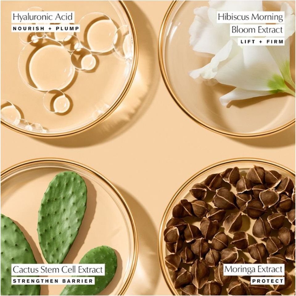 REVITALIZING SUPREME + YOUTH POWER CREME