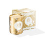 CANDELA SHORTBREAD SURPRISE