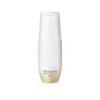ABSOLUTE SILK - FLUID 80 ML