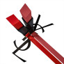ROUGE PUR COUTURE THE SLIM