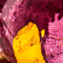 GRAPE PEARS EAU DE PARFUM