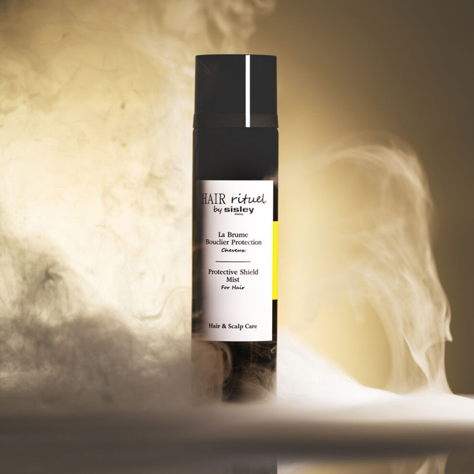 LA BRUME BOUCLIER PROTECTION