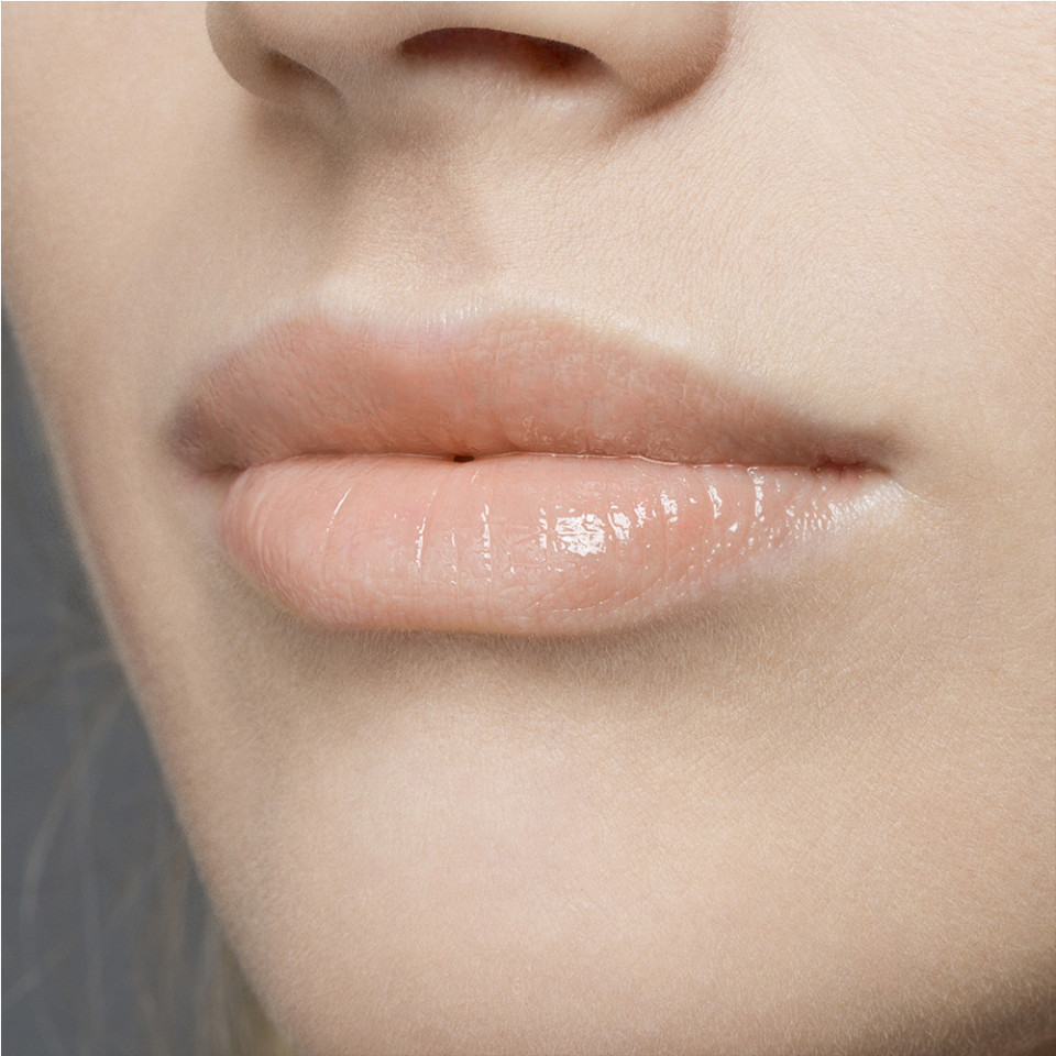 PHYTO-LIP DELIGHT