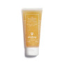 GEL NETTOYANT GOMMANT 100 ML