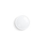LOTION AU PAMPLEMOUSSE 250 ML