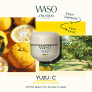WASO YUZU-C BEAUTY SLEEPING MASK