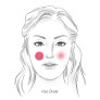 POWDER BLUSH REFILL