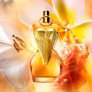 DIVINE LE PARFUM EAU DE PARFUM INTENSE