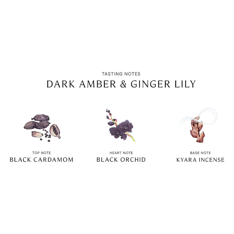 DARK AMBER & GINGER LILY COLOGNE INTENSE