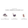 DARK AMBER & GINGER LILY COLOGNE INTENSE