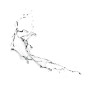 ACQUA DI TRATTAMENTO - EAU DYNAMISANTE