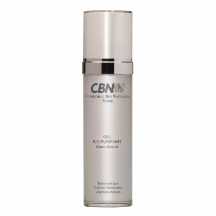 GEL PURIFICANTE 190 ML
